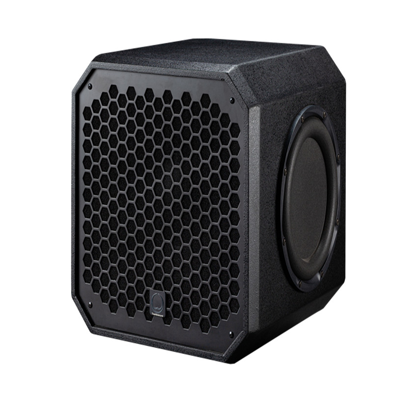 Professional 12-Inch Active DJ - огляд і ціна Outdoor Power Amplifier